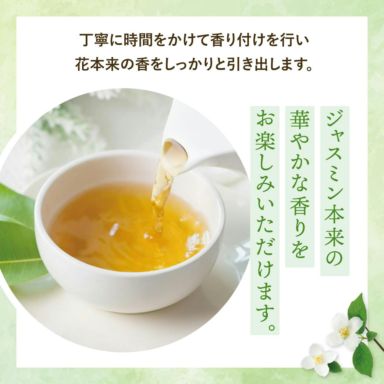 ティーライフ】1杯あたり約10円 ジャスミンティー ポット用50個入