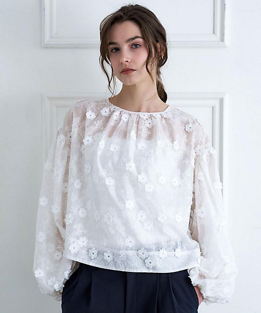 シアーエンブロイダリーブラウス（2002586080