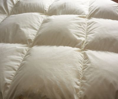 西川プレミアム NP7050 羽毛合掛ふとん（KA04495071