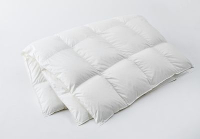 西川 マザーグースデュエット羽毛掛ふとん DL（KA22277137