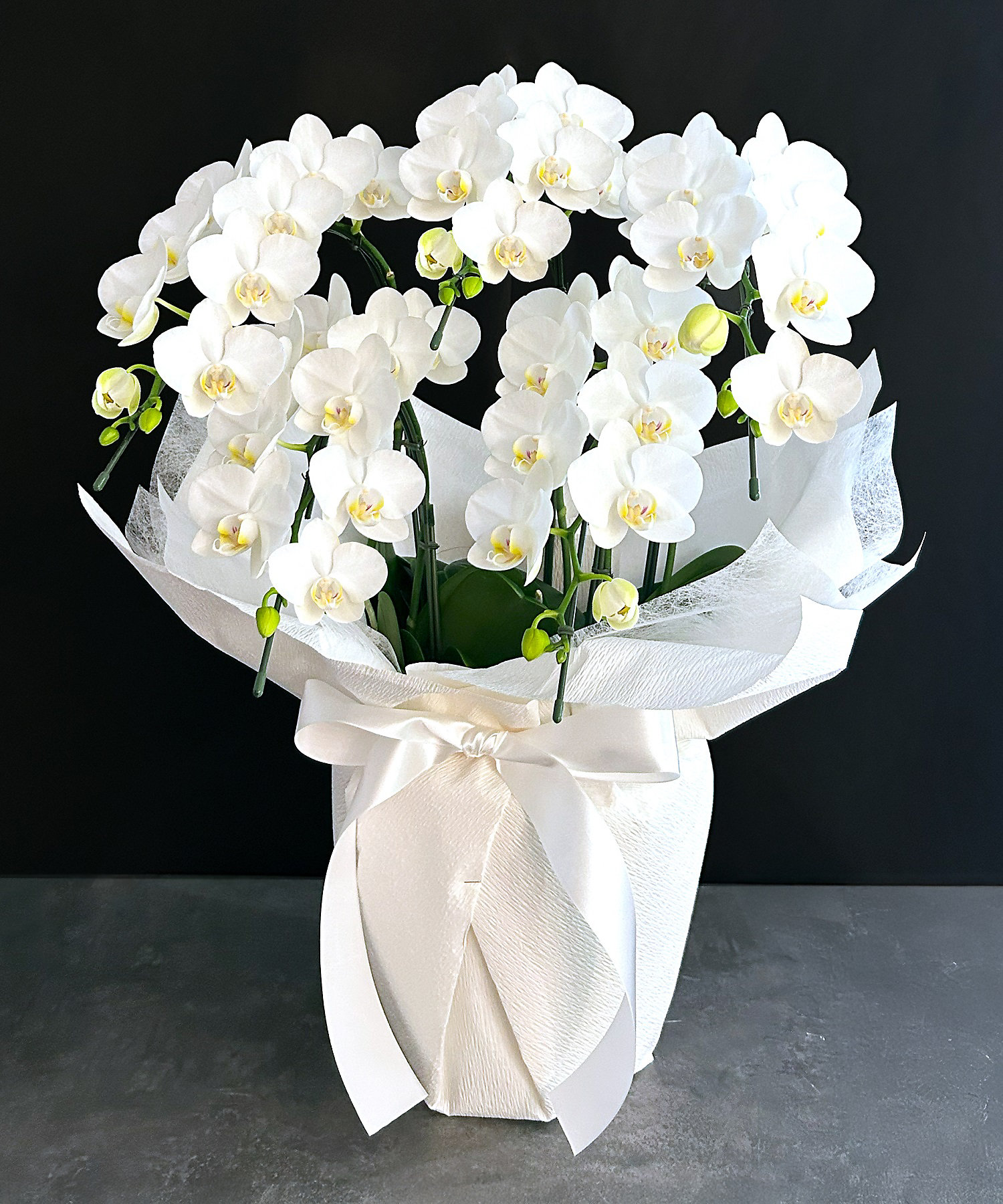 0400019051640_01?$VS_1500$