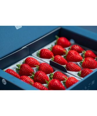 ☆【産直】佐賀県産 いちごさん4パックセット | 佐賀/渋田いちご園