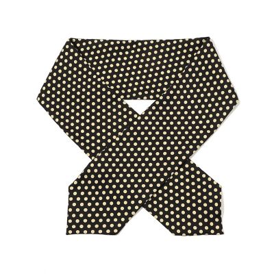 Fratelli Luigi シルク ドットスカーフ | TOMORROWLAND