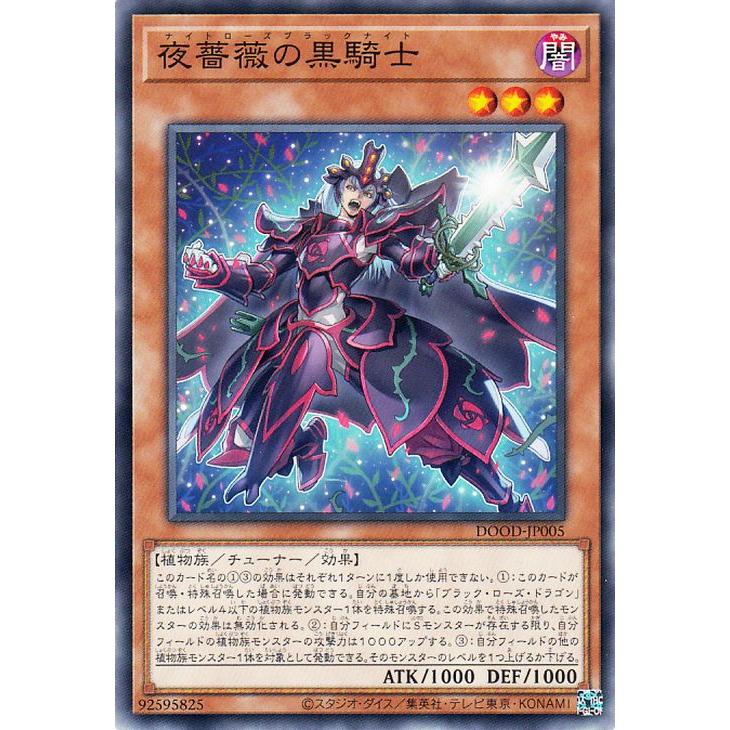 遊戯王オフィシャルカードゲーム デュエルモンスターズ 遊戯王カード