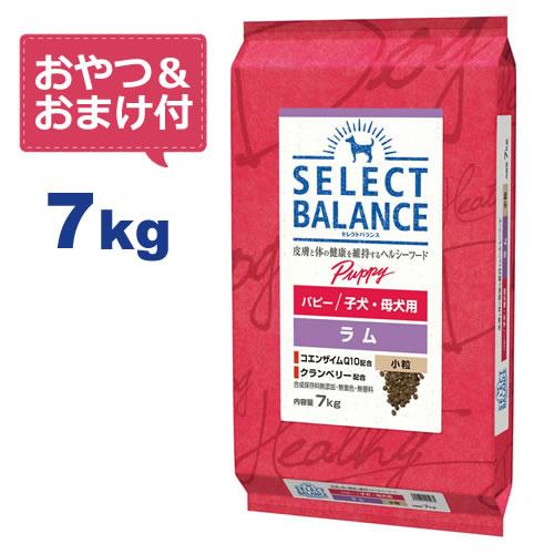 SELECT BALANCE （国産おやつ＆おまけ付き）セレクトバランス パピー