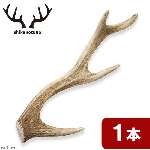 鹿の角シカツノ角先25本