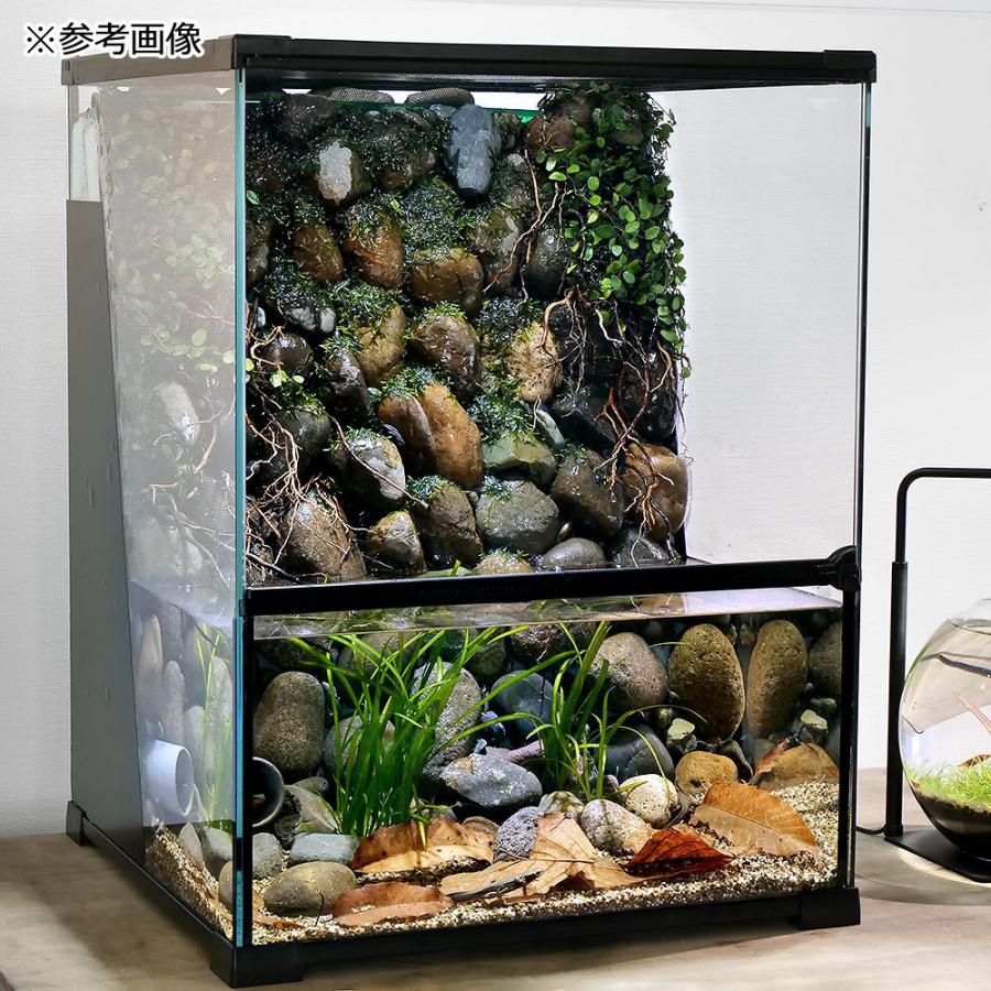 Leaf Corp 爬虫類ケージ テラスペース 45x45x60cm 穴2つ