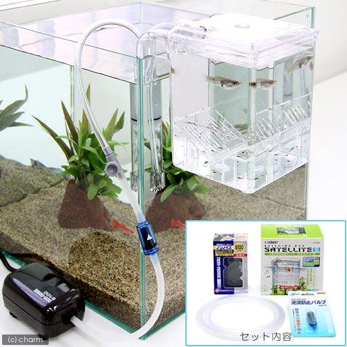 チャーム（charm） 外掛式産卵飼育ボックス サテライトS スターター