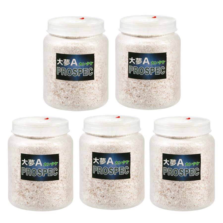 菌糸ビン 大夢A プロスペック （カンタケ） クリアーボトル
