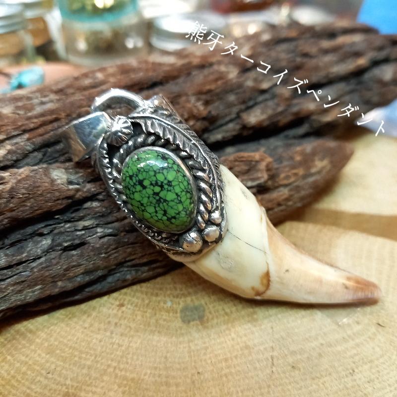 rym-17 熊牙 ターコイズ ペンダント 一点物 ネックレス ハンドメイド