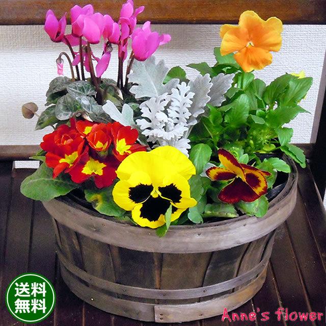 アンのお花屋さん 花 鉢植え 春まで楽しめる ミニガーデン 季節のお花