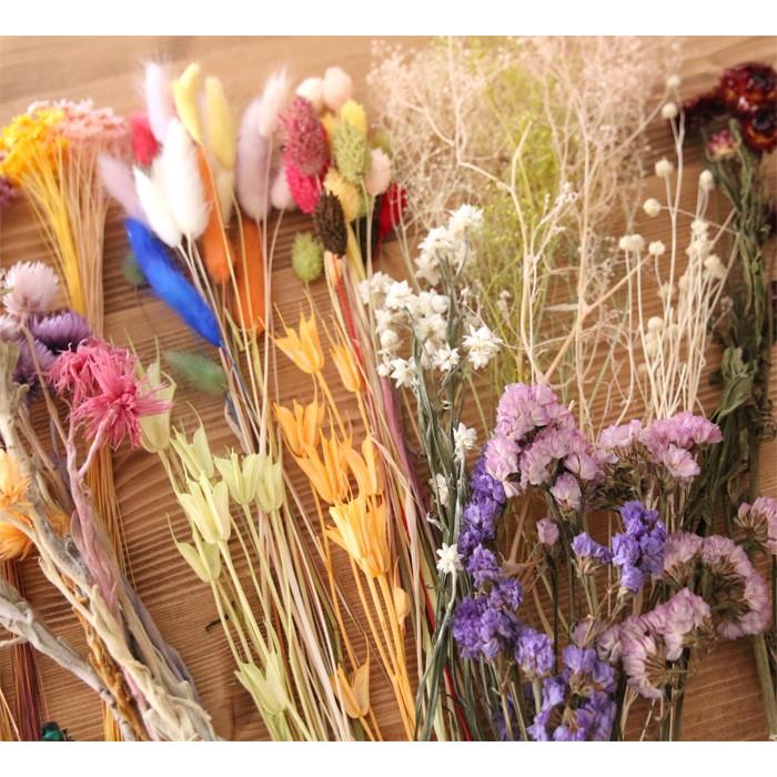 超特大ボックス】 カラフル 花材セット [ ハーバリウム プリザーブド