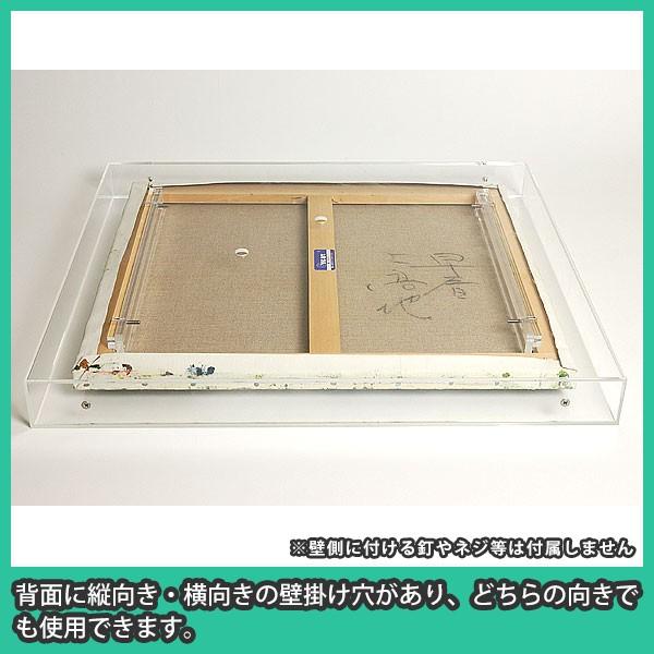 油彩キャンバス F6 額縁 壁掛け ケース ボックス 箱型 奥行 絵画 油絵