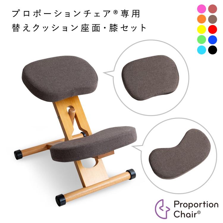 宮武製作所 プロポーションチェアキッズ用替えクッション（座面と膝2個
