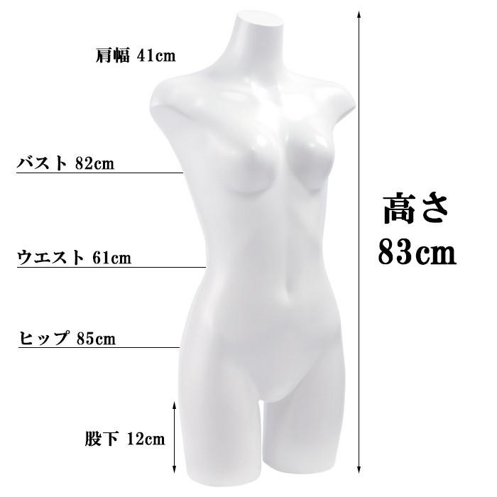 卓上トルソー 女性用 上半身 9号 ラッカーボディ カラー5色 ST860