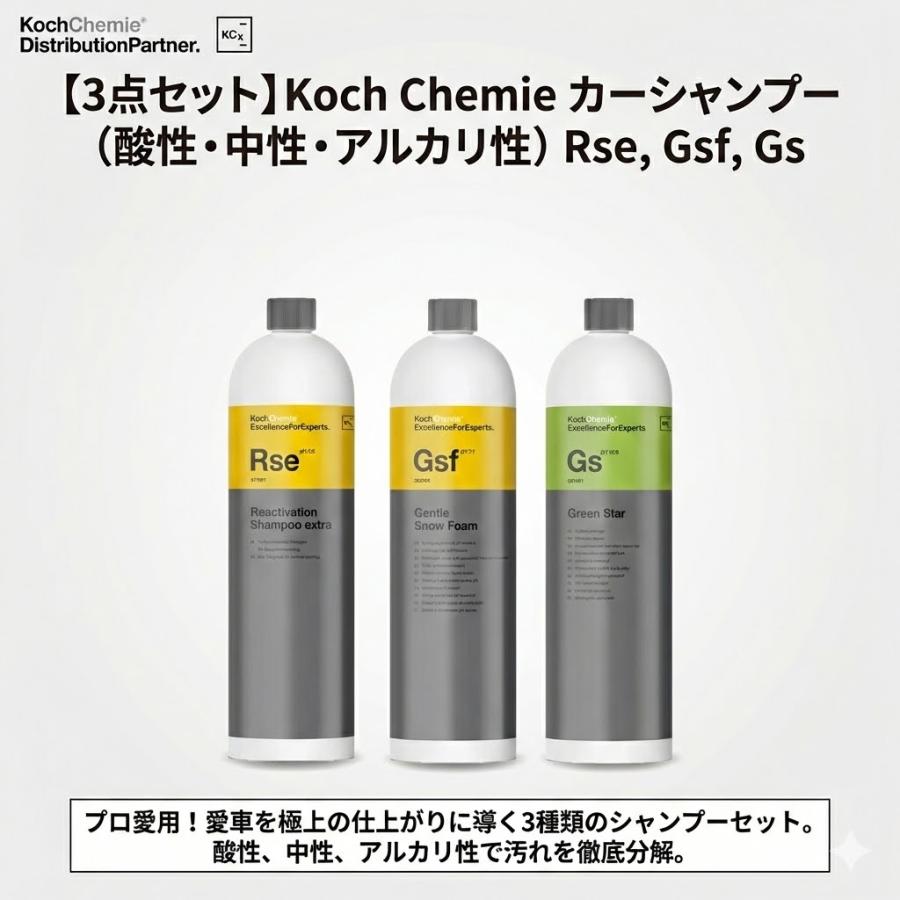 コッホケミー 3本セット Rse Gsf Gs 酸性中性アルカリ洗浄