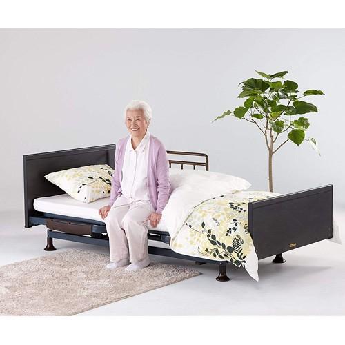 フランスベッド（FRANCEBED） 3モーター ベッド エスポア 91cm幅