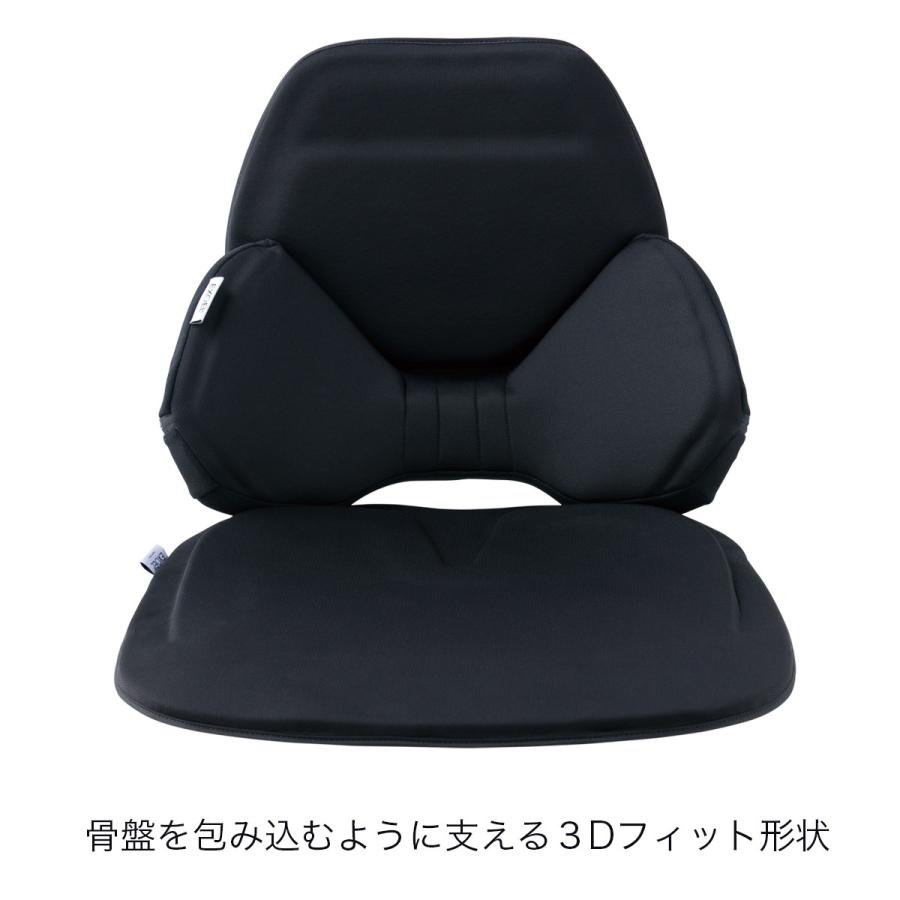 EXGEL（エクスジェル） ジェルクッション 腰痛 クッション 車 腰痛対策