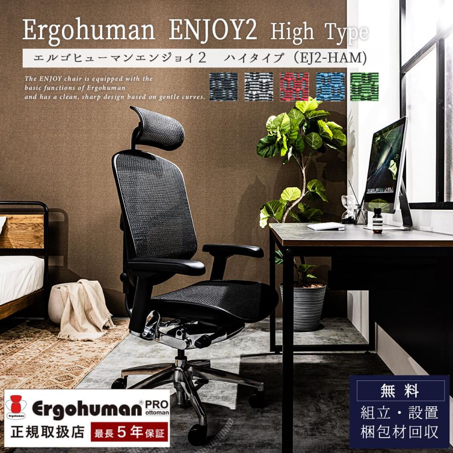 オフィスチェア エルゴヒューマン エンジョイ2 Ergohuman Enjoy2