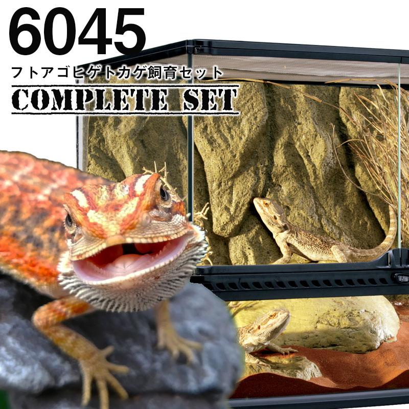 GEX（ジェックス） 【水槽セット】6045 フトアゴヒゲトカゲ飼育セット