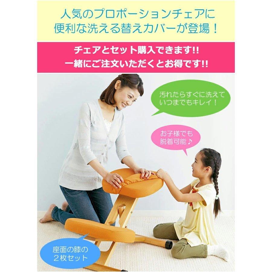 宮武製作所 新色登場全11色 クッション付き 替えカバー付き