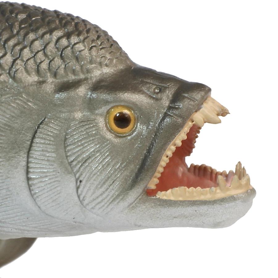 コレクタ 恐竜フィギュア 88928 シファクティヌス 1:40 Collecta