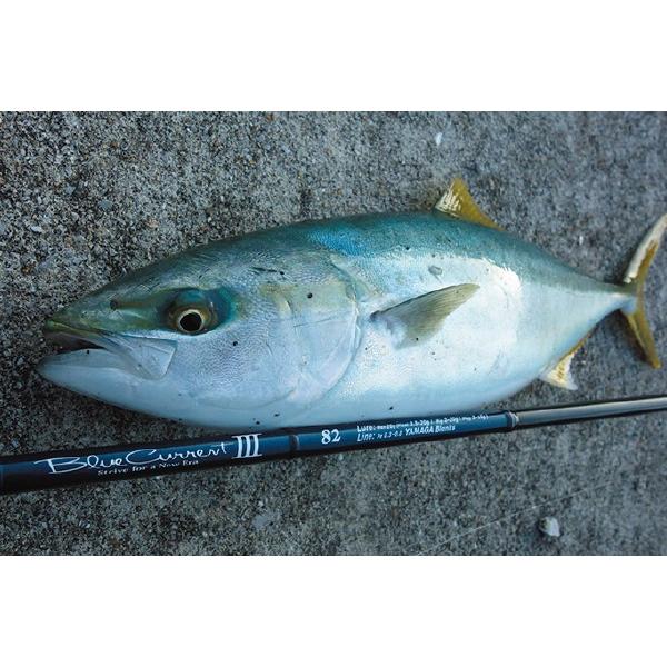 YAMAGA Blanks ヤマガブランクス ブルーカレント3 - 82