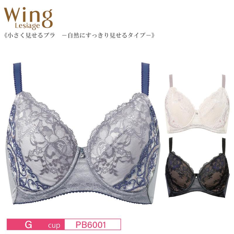Wing ワコール ウイング フルカップブラジャー PB6001 Wacoal