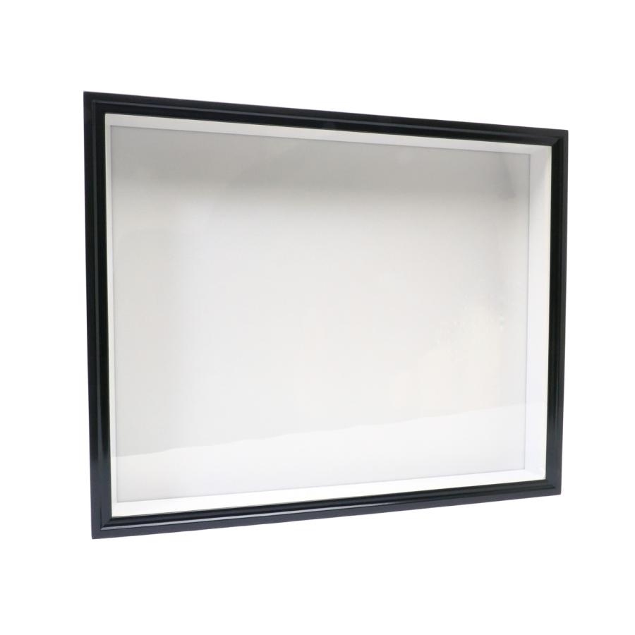 大型ドイツ型標本箱（黒） : インセクテック・ドット・コム - 通販