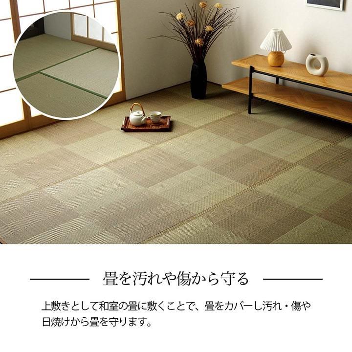 イケヒコ い草カーペット 花ござ ルネ 江戸間 6畳 い草ラグ おしゃれ