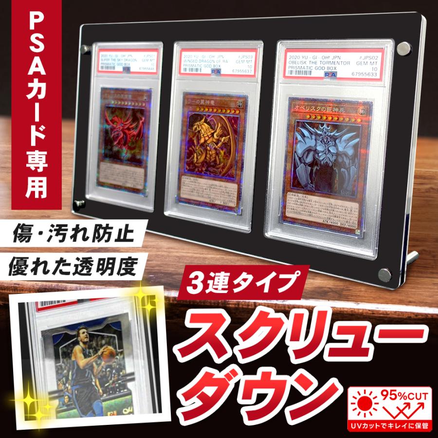 ポイント10倍】 【3連タイプ】 スクリューダウン PSA マグネット