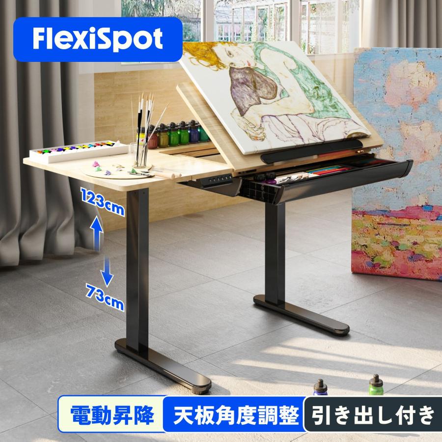 FlexiSpot 昇降デスク 天板角度調整 昇降テーブル FlexiSpot ED1B