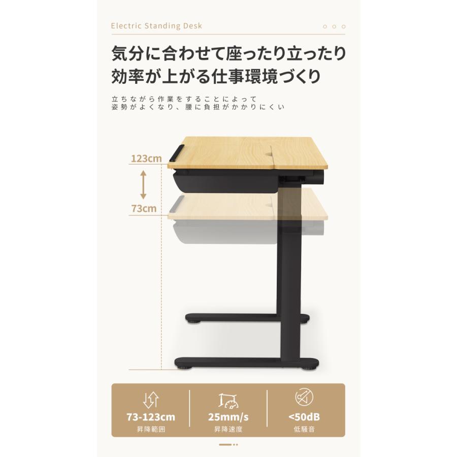 FlexiSpot 昇降デスク 天板角度調整 昇降テーブル FlexiSpot ED1B