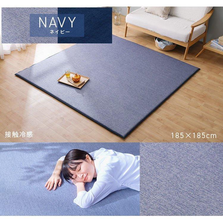 IRIS OHYAMA（アイリスオーヤマ） ラグ 3畳 夏用 厚手 北欧 オール