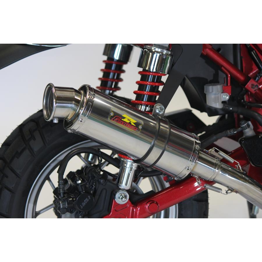 モンキー Realize モンキー125 バイクマフラー 2BJ-JB02 8BJ-JB03