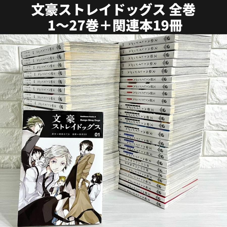 文豪ストレイドッグス 全巻セット 関連本付き 商品写真掲載 中古 送料