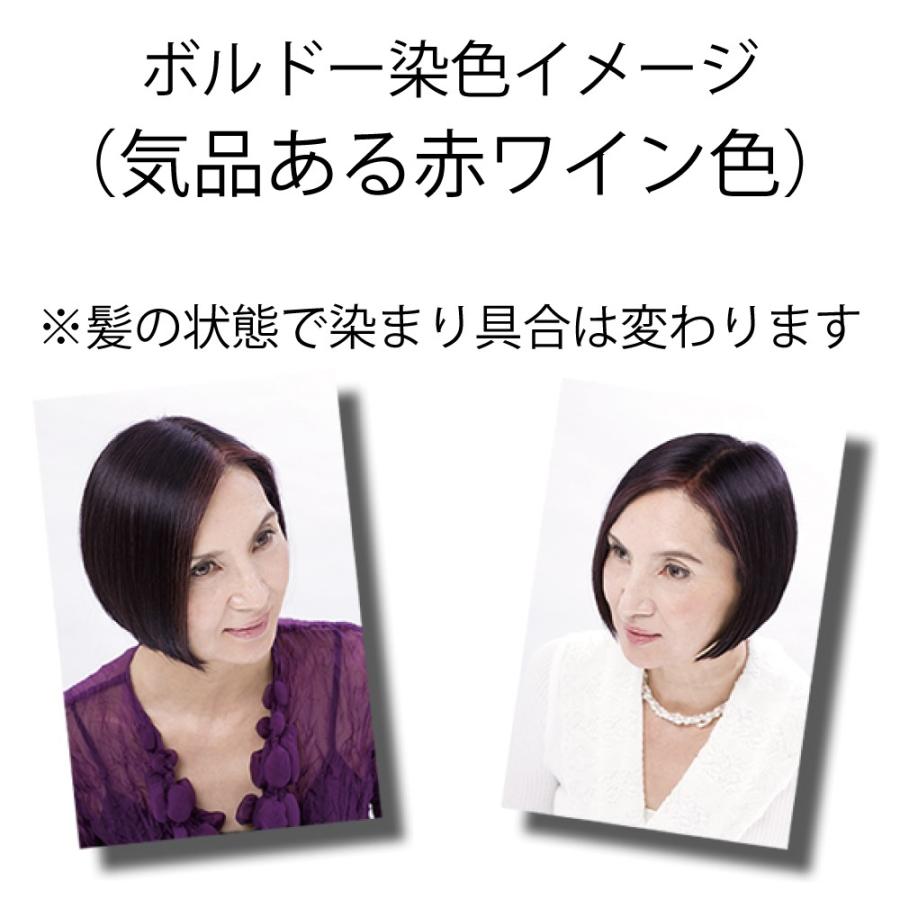 白髪染め ヘアカラーリングクリーム カラートリートメント ボルドー 2