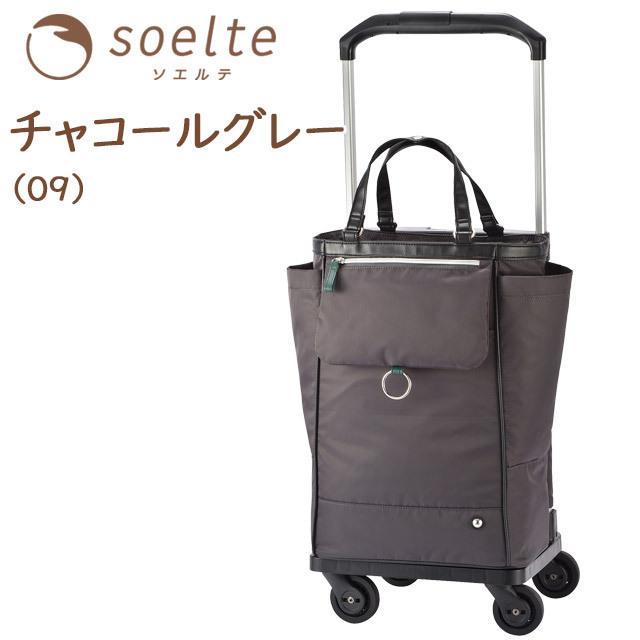 Ace（エース） ソエルテ ソフト キャリーバッグ お買い物キャリー