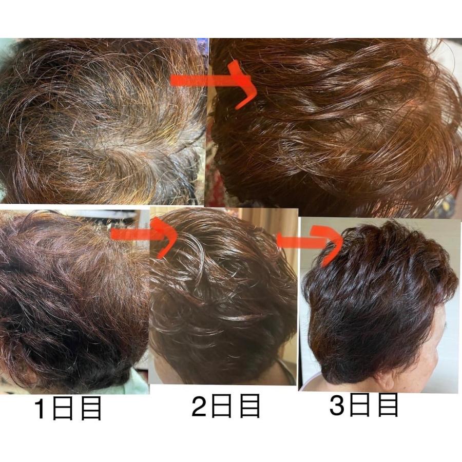 自立ヘナ お買い得セット : NAOSHO - 通販 - Yahoo!ショッピング