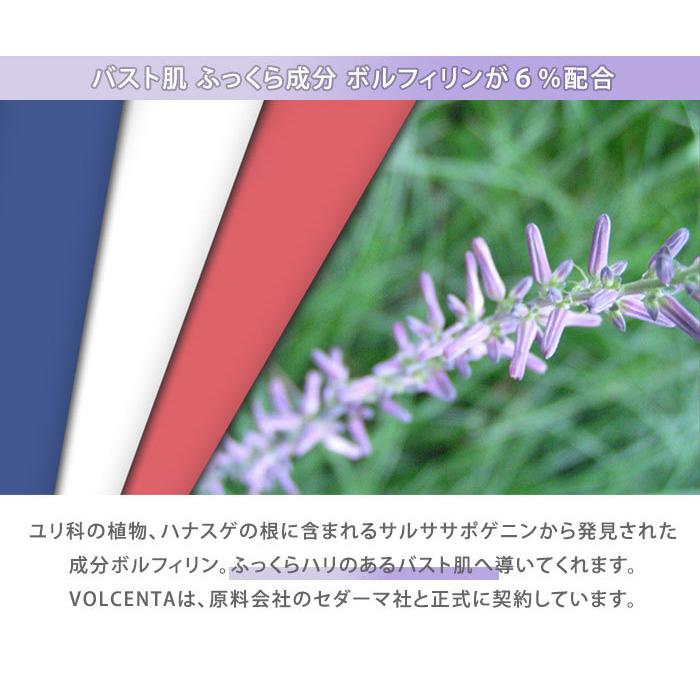 2本セット ボルセンタ バストクリーム 100g VOLCENTA BODY's Pro(DM