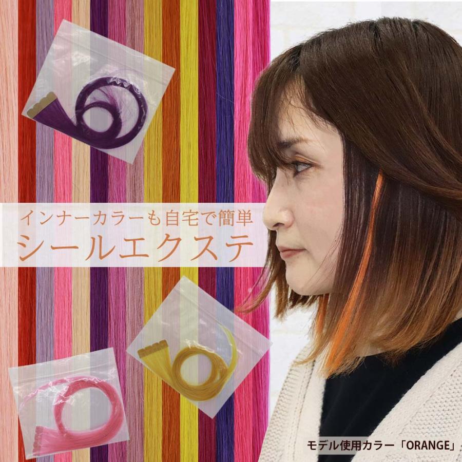 シール エクステンション 2本分 原色 プチプラ 推し色 ピンク レッド
