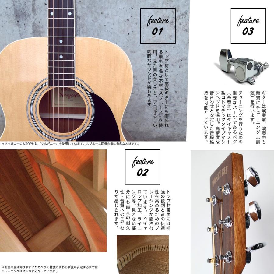 アコースティックギター W-15/F-15 ソフトケース付き〔大型荷物