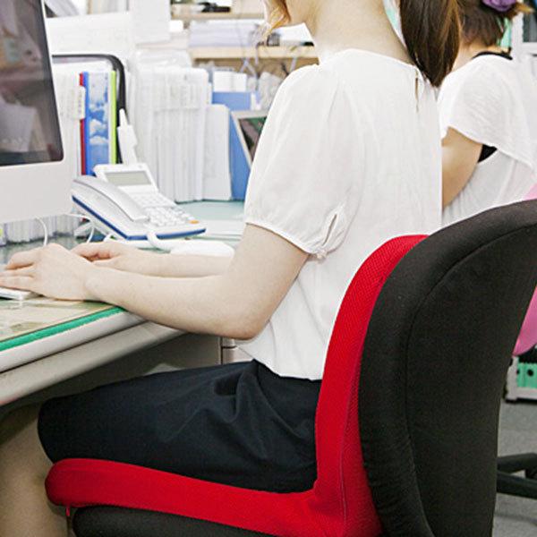 p!nto（ピント） ピーエーエス 姿勢サポートクッション 1個 : 産経