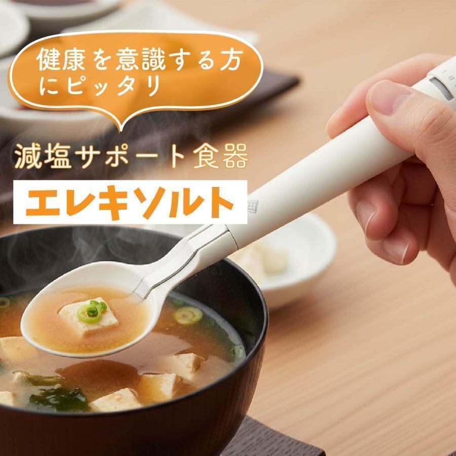 おいしいの、新しいかなえ方 キリン エレキソルト スプーン 減塩食品
