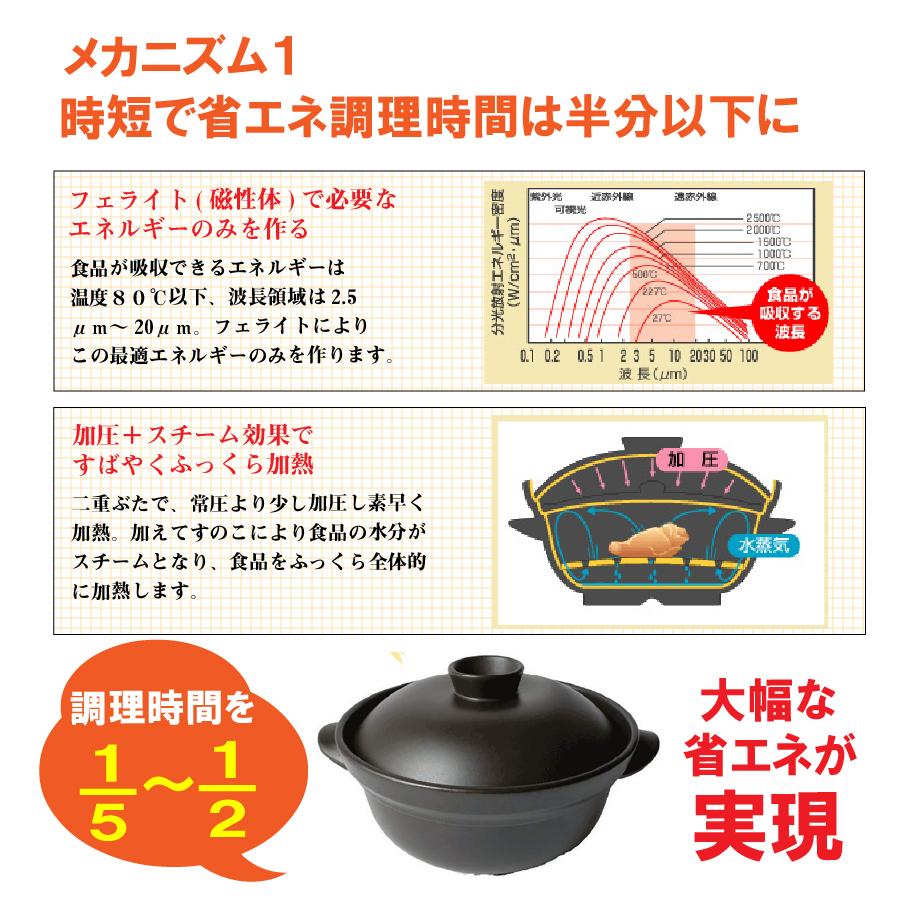 磁性鍋 鍋 電子レンジ 電子レンジ専用調理器 両手鍋 Mサイズ 鍋セット