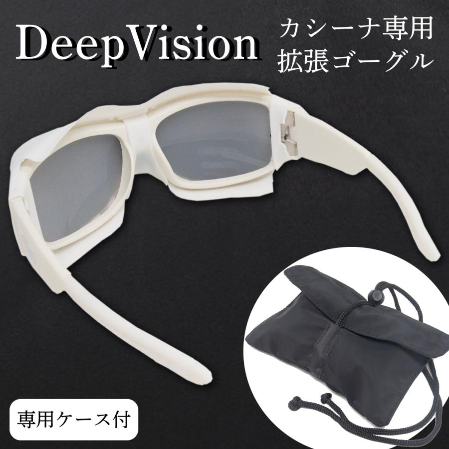 ブレインマシン KASINA カシーナ 対応 拡張ゴーグル DeepVision