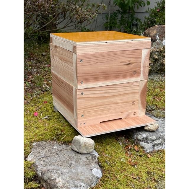 Freddo】日本みつばち用 飼育箱 重箱式巣箱 養蜂 国産 杉材 シンプル