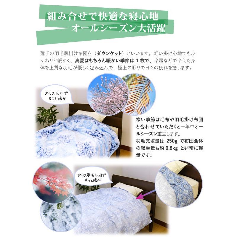 ダウンケット 京都西川 シングルロング 150×210cm ダウン85％ atfive