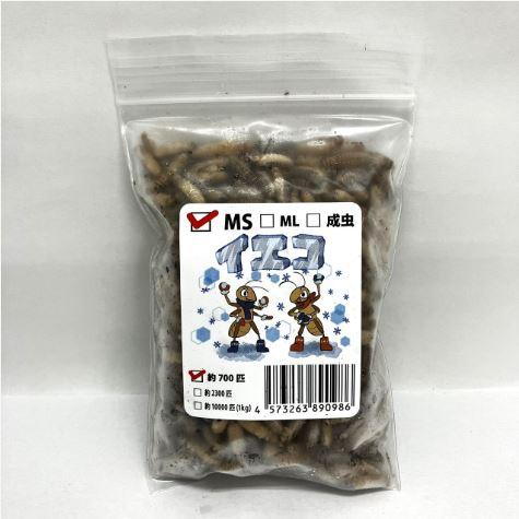 送料無料・邑楽ファーム・クール便発送】冷凍イエコオロギ MSサイズ