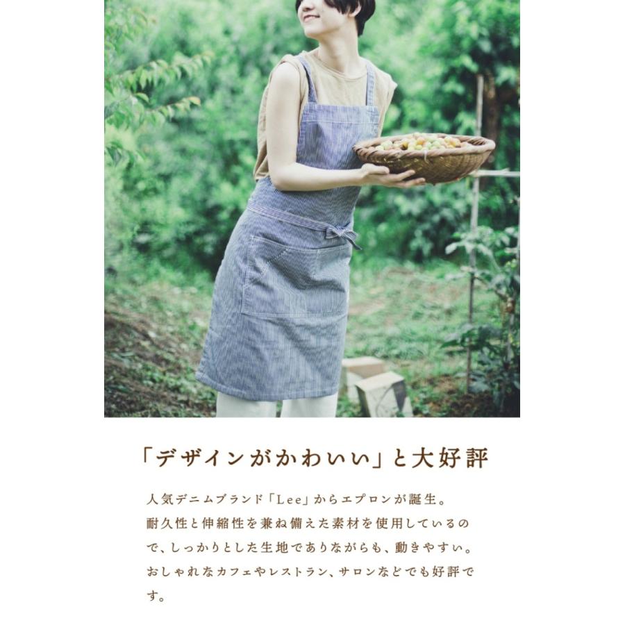 Lee lck79003 正規取扱い品 ワーク デニムエプロン ヒッコリー